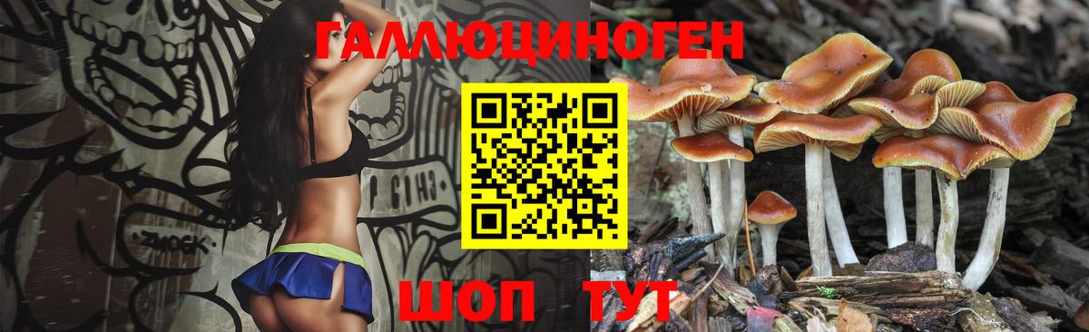 Красноперекопск  Псилоцибиновые грибы Psilocybe  Вход с VPN  Псилоцибиновые грибы MAGIC MUSHROOMS 